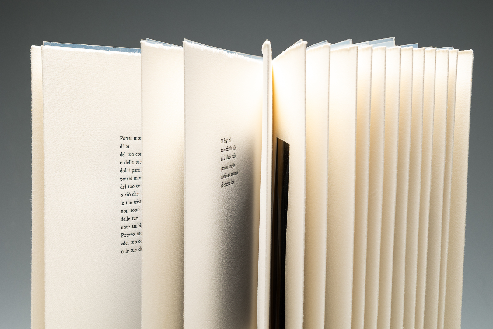 Dettaglio editoriale pagine interne